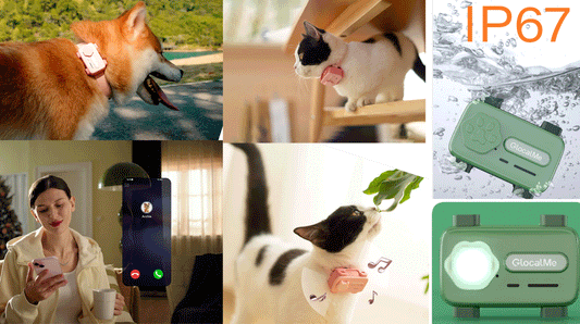 Glocalme Petphone:Smart Tracker with Real-Time Tracking,Two-Way Call,Voice Soothing,Activity Tracking.