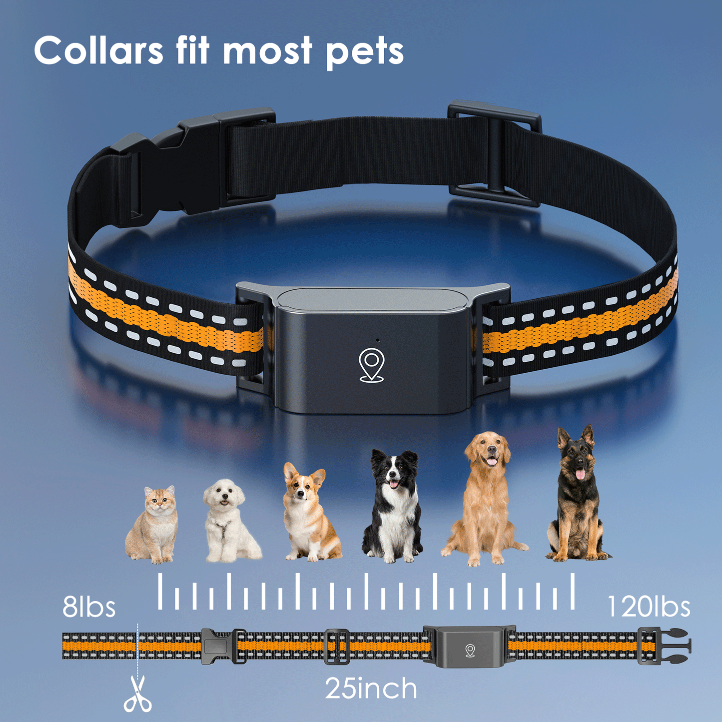 4G GPS Pet Tracker Collar for Cat Dog Without Subscription