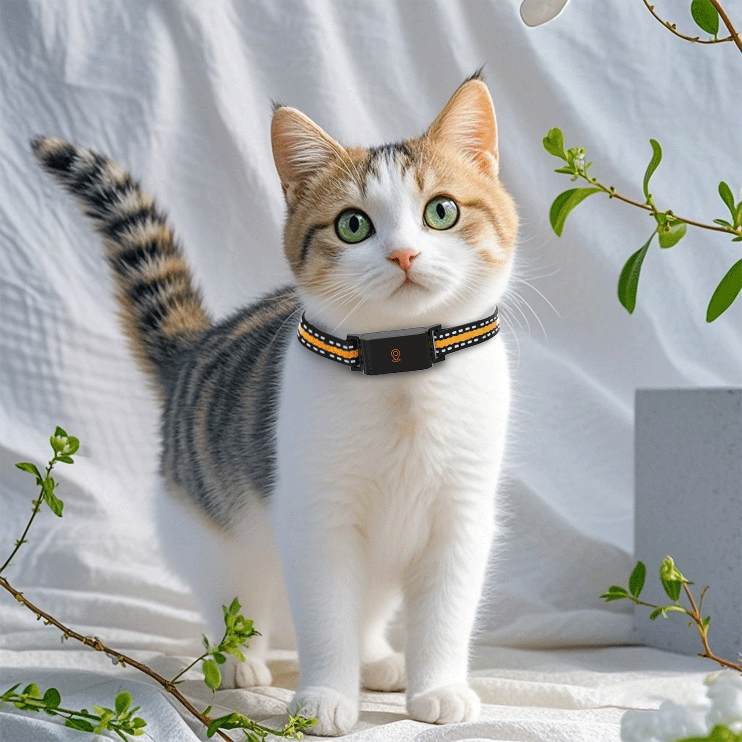 4G GPS Pet Tracker Collar for Cat Dog Without Subscription
