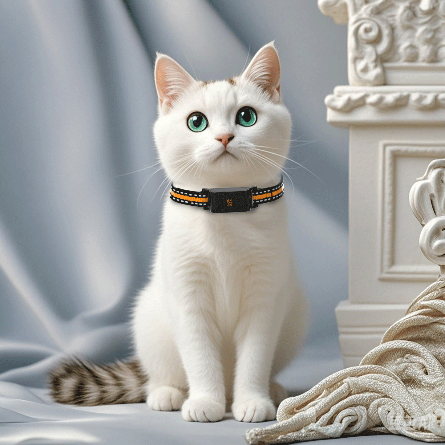 4G GPS Pet Tracker Collar for Cat Dog Without Subscription