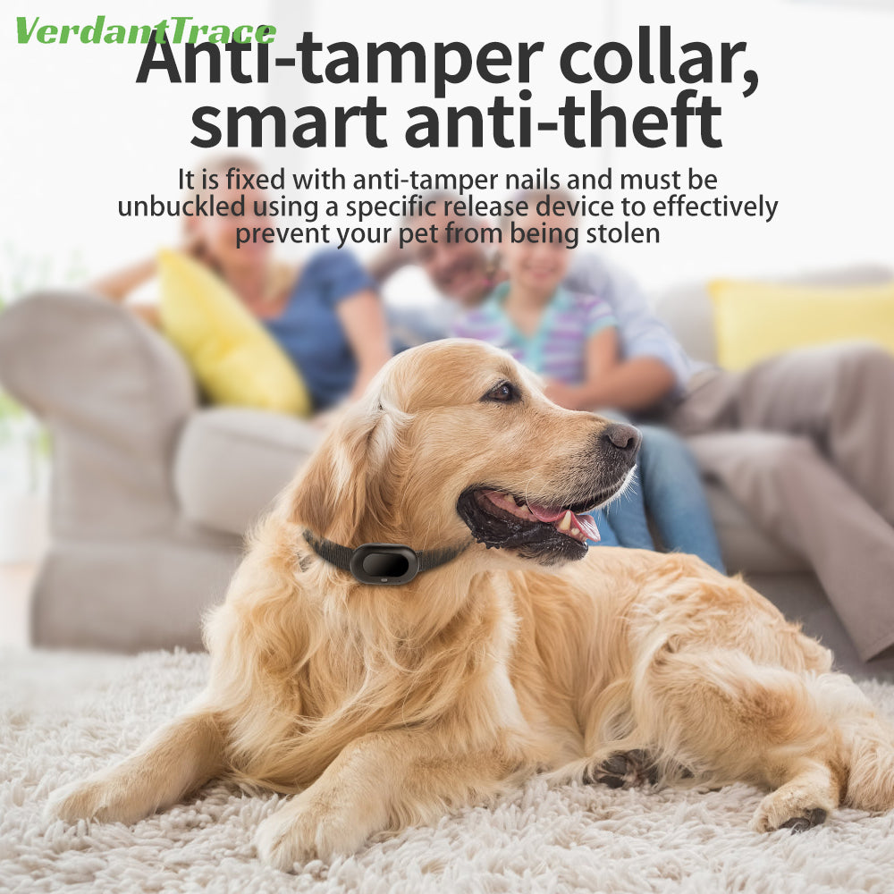 VerdentTrace 4G GPS Pet Tracker Voice Monitor Pet Dog Cats Gps Anti Loss Mini Tracker IP67 Waterproof GPS Locator Free APP Electronic Fence