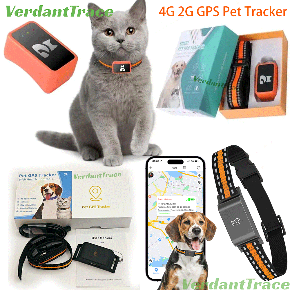 4G GPS Pet Tracker Collar for Cat Dog Without Subscription