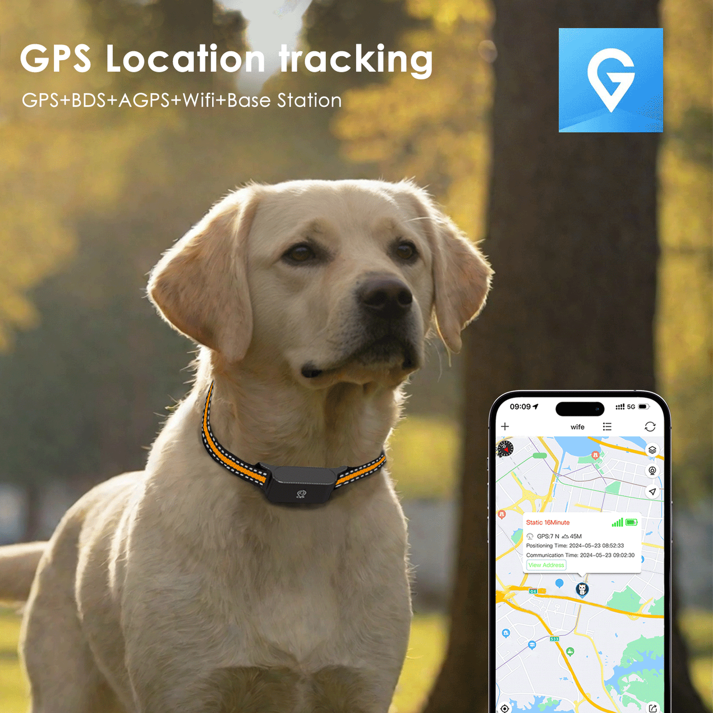4G GPS Pet Tracker Collar for Cat Dog Without Subscription