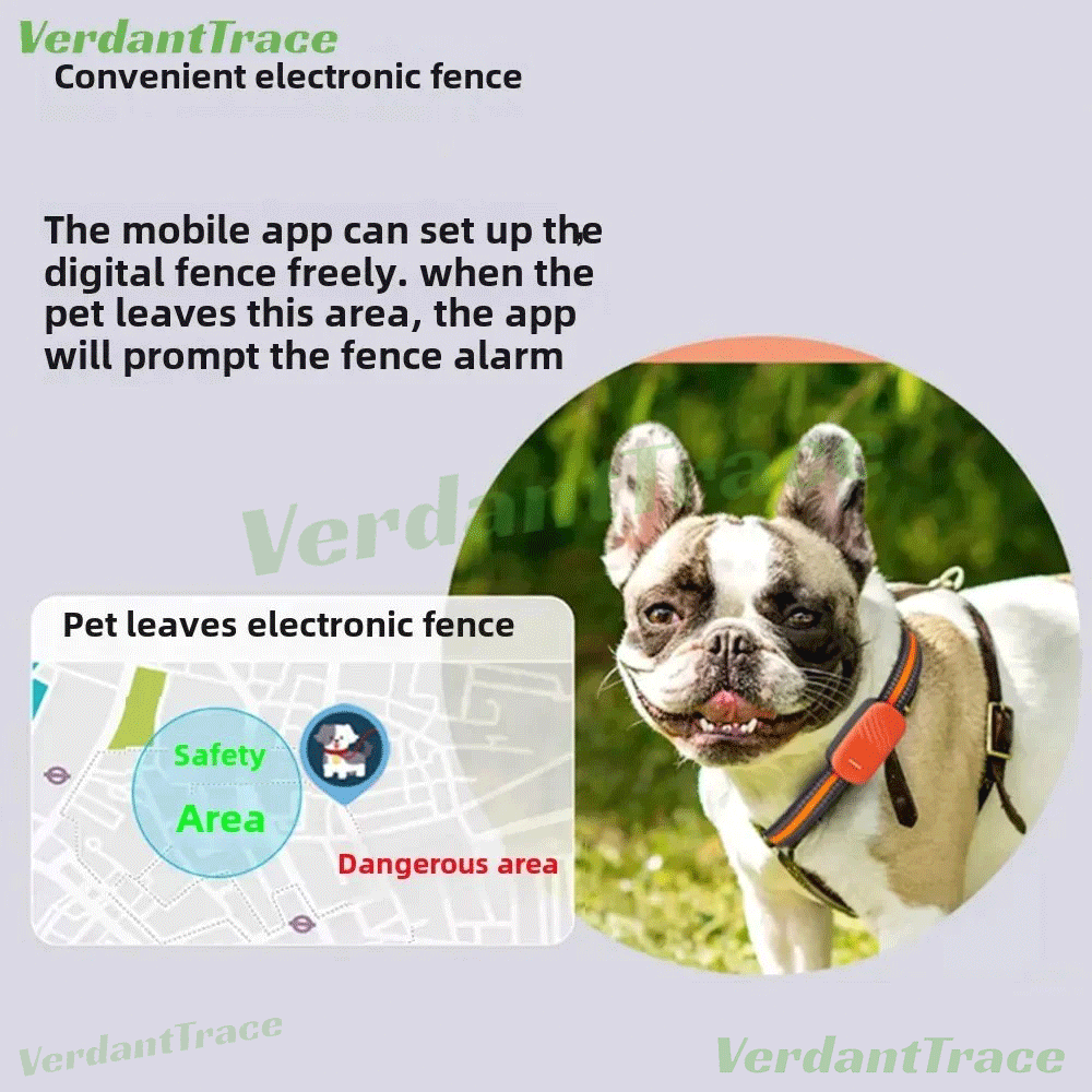 VT51 4G Pet GPS Tracker Collar No Subscription