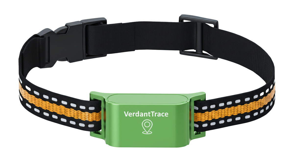 VerdantTrace VT01 4G GPS pet tracker mounted on a reflective pet collar