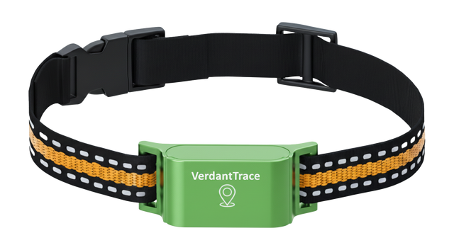 VerdantTrace VT01 4G GPS pet tracker mounted on a reflective pet collar