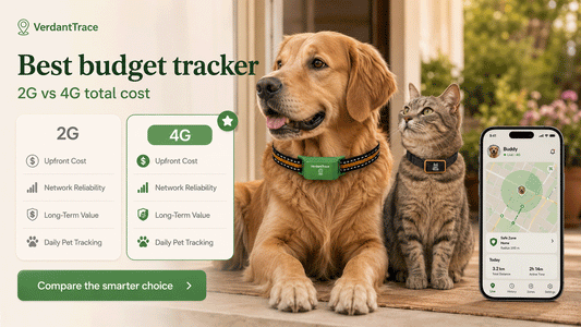A budget GPS tracker is the device that gives reliable daily tracking at the lowest practical long-term cost.