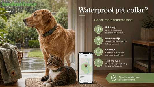 Waterproof Find My pet collar buying guide for rain wet grass collar fit and tracking technology