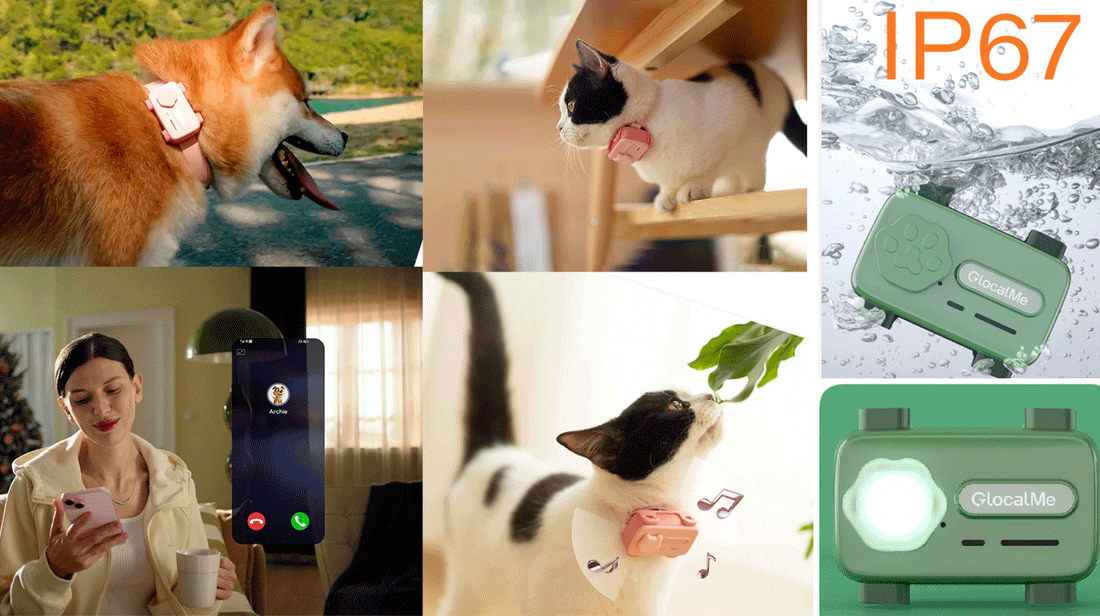 Glocalme Petphone:Smart Tracker with Real-Time Tracking,Two-Way Call,Voice Soothing,Activity Tracking.