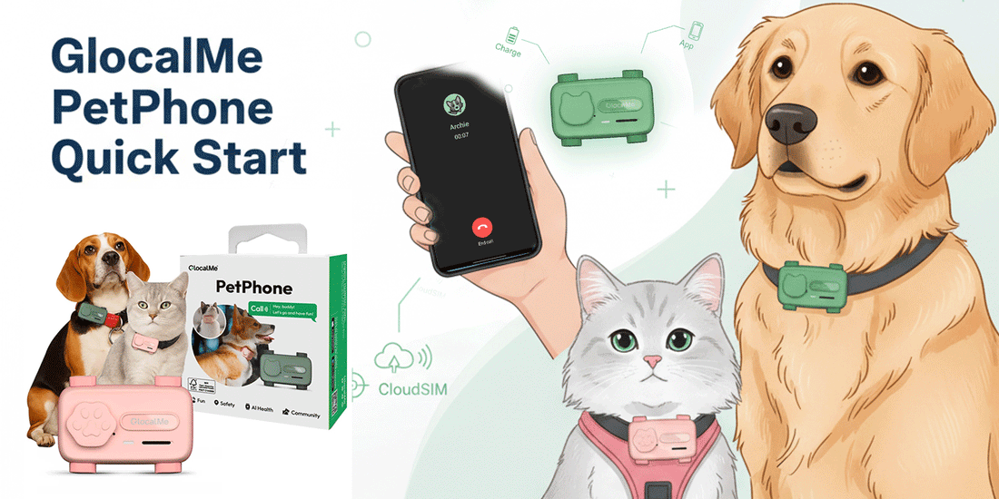 GlocalMe PetPhone Quick Start: From Unboxing to First Call