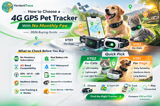 How to Choose a 4G GPS Pet Tracker With No Monthly Fee