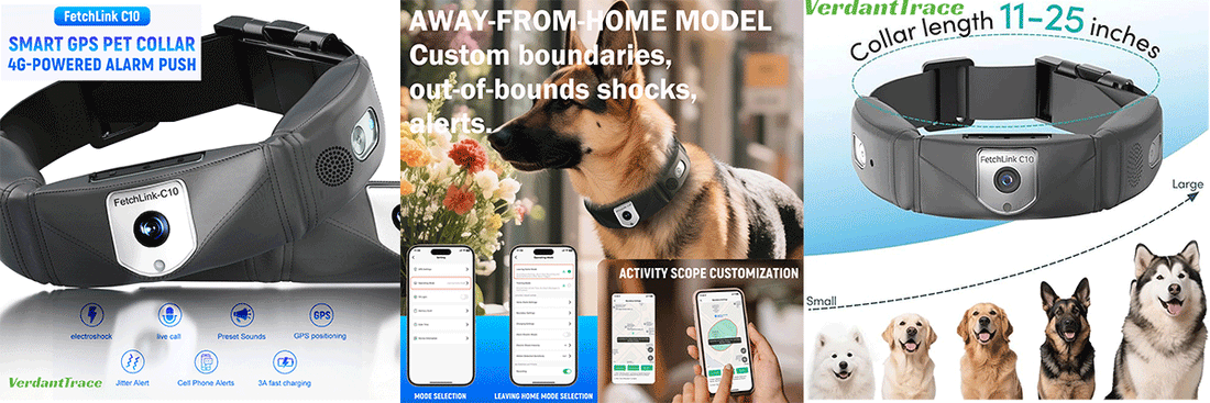 All-in-One GPS Dog Collar with Camera & Wireless Fence | FetchLink C10