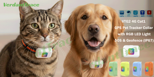 New Release: VTG2 4G LED Sound GPS Pet Tracker Collar (IP67 Waterproof)