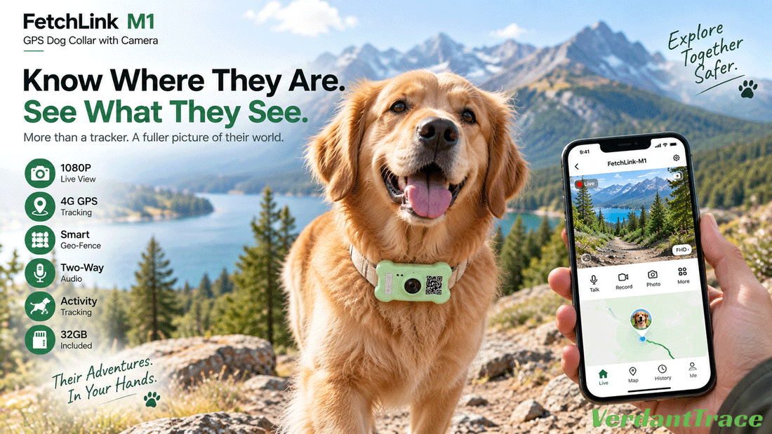 FetchLink M1 GPS dog collar with camera combining location tracking and live view