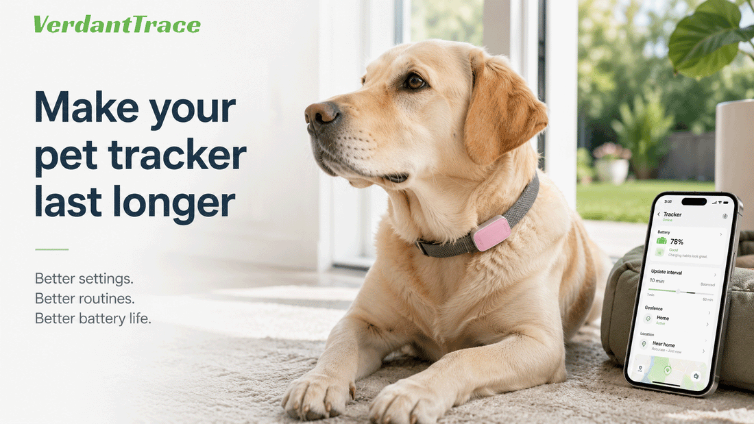 Dog wearing a GPS pet tracker with a phone showing battery and location settings for longer battery life