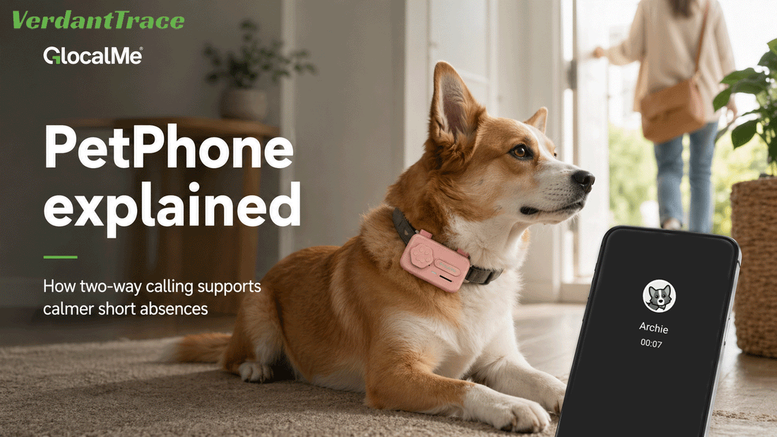 PetPhone Explained: How Two-Way Calling Helps Separation Anxiety