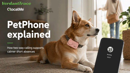 PetPhone Explained: How Two-Way Calling Helps Separation Anxiety