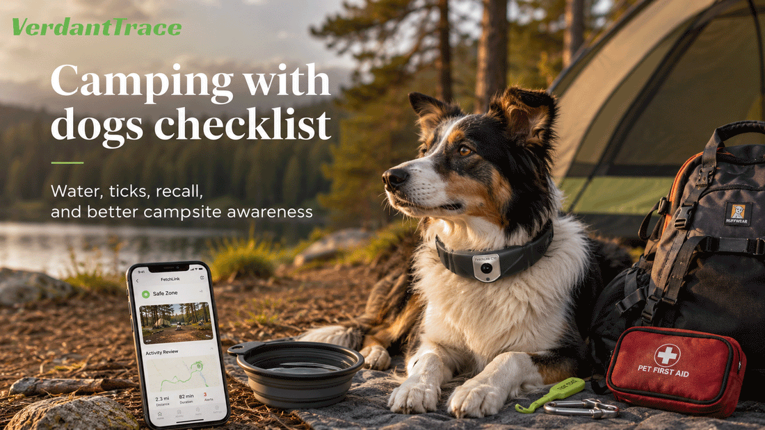 Dog camping checklist with water bowl, leash, tick tool, first aid kit, and C10 outdoor awareness collar