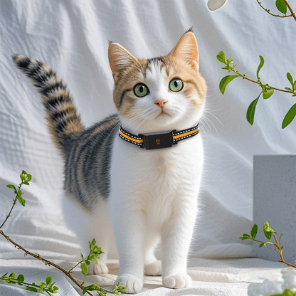 4G GPS Pet Tracker Collar for Cat Dog Without Subscription