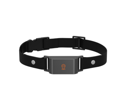 IP67 Waterproof Mini 4G GPS Animal Tracker Collar Anti-Lost Real Time Tracking Dog Cat Locator Pet Dog Cat Fashion Neck Collar