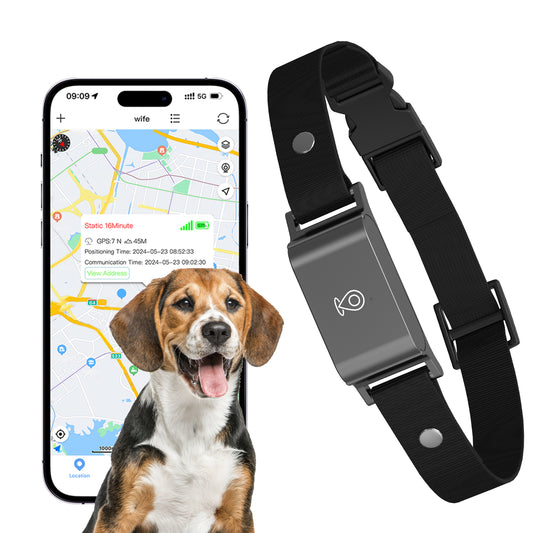 IP67 Akvorezista Mini 4G GPS-Spurilo de Besto-Kolumo Kontraŭ-Perdita Reala Tempo-Spurado de Hundo-Kato-Lokalizilo Dorlotbesta Hundo-Kato Moda Kolo-Kolumo
