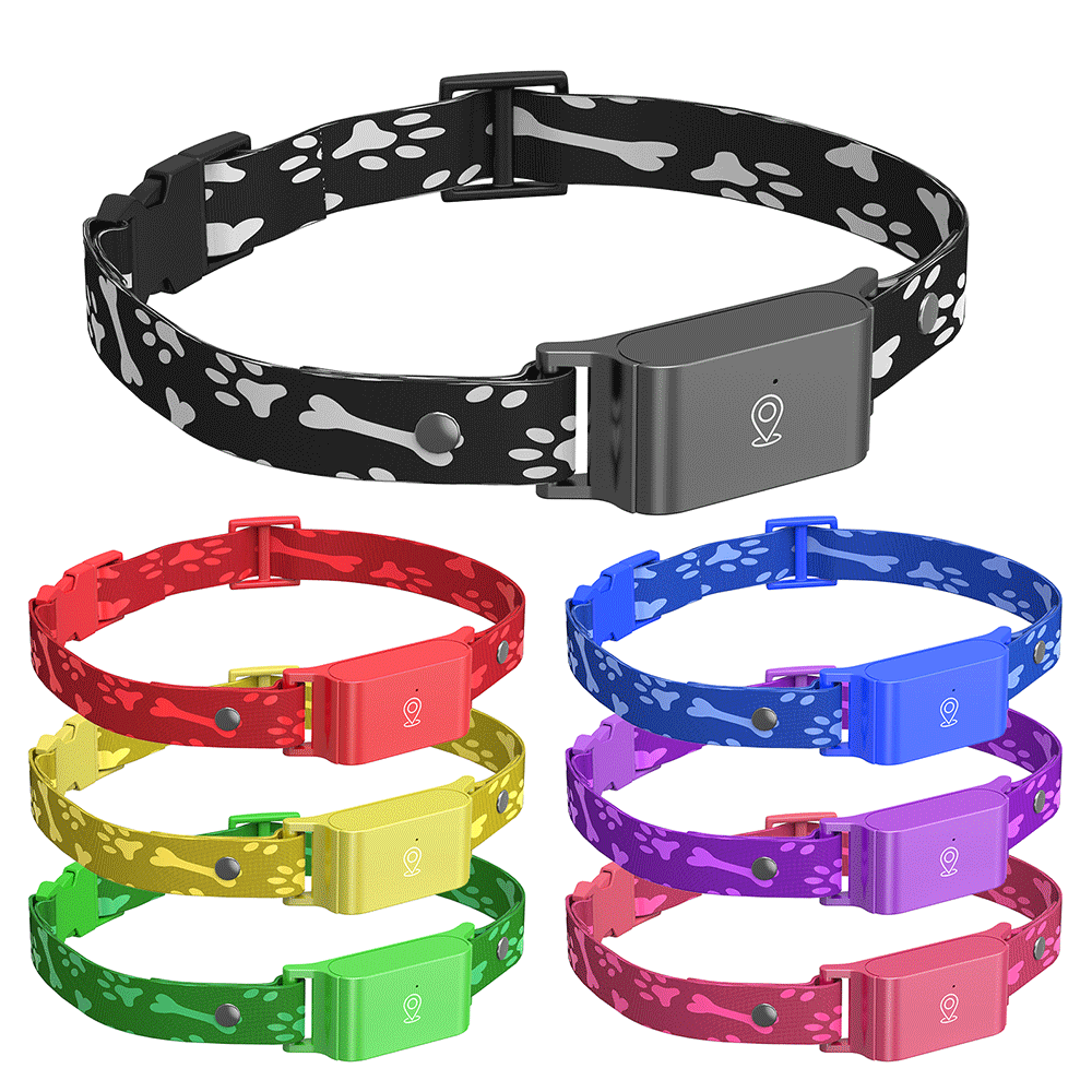 4G GPS Pet Tracker Collar for Cat Dog Without Subscription