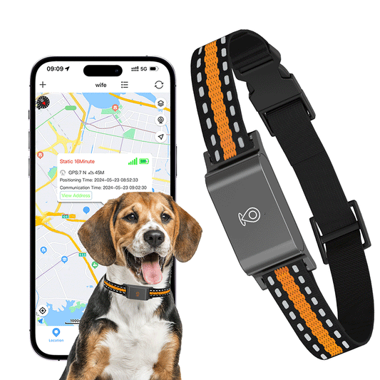 4G GPS Pet Tracker Collar for Cat Dog Without Subscription