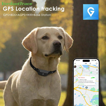 VerdantTrace IP67 Waterproof Mini 4G GPS Animal Tracker Collar Anti-Lost Real Time Tracking Dog Cat Locator Pet Dog Cat Fashion Neck Collar