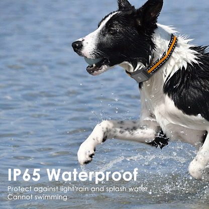 4G GPS Pet Tracker Collar for Cat Dog Without Subscription