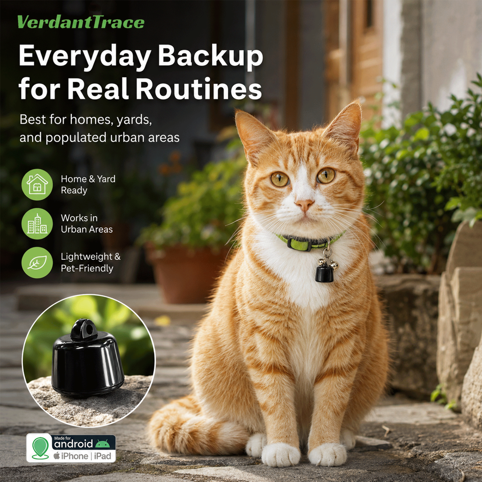 Orange cat wearing the VT23 Bluetooth pet finder in a home yard and urban living environment