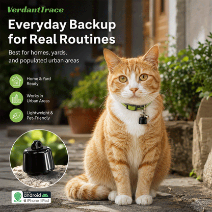 Orange cat wearing the VT23 Bluetooth pet finder in a home yard and urban living environment