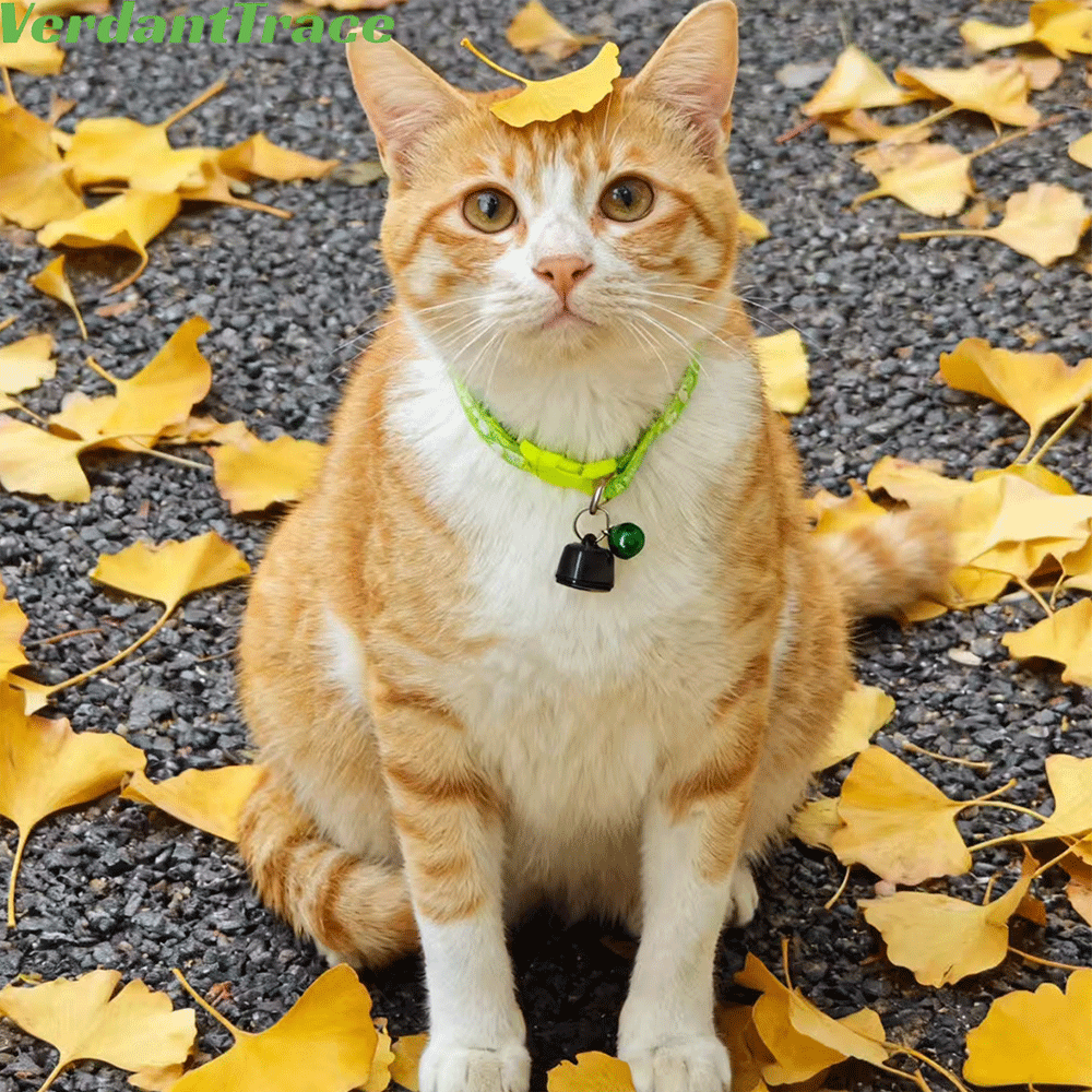 VT23 Findtag Android IOS Universal Mini Pet Tracker