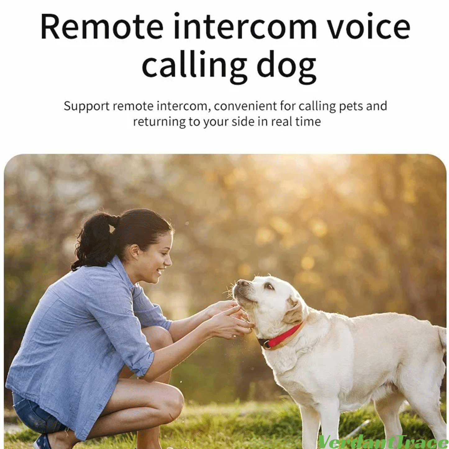 VTZ8 2G Pet GPS Tracker Collar