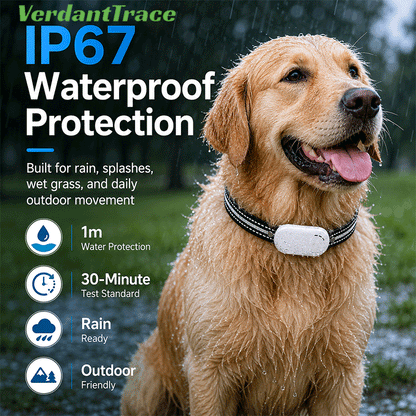 VT-P43 4G Smart Pet GPS Tracker Collar with Voice Call, Sound & Light Finding