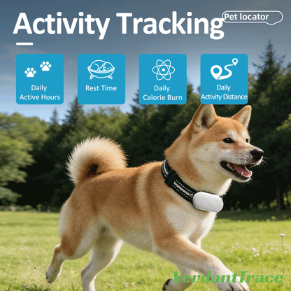 VT-P43 4G Smart Pet GPS Tracker Collar with Voice Call, Sound & Light Finding