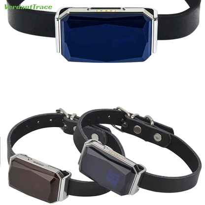 VT12 Smart 2G GPS Haustier-Tracker Halsband
