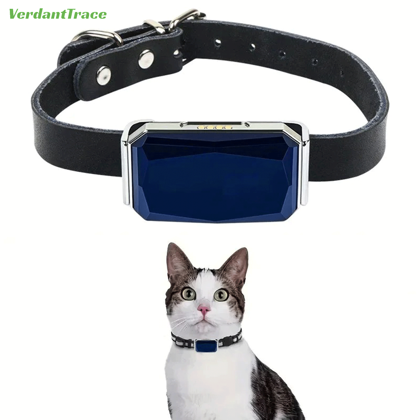 VT12 Smart 2G GPS Haustier-Tracker Halsband