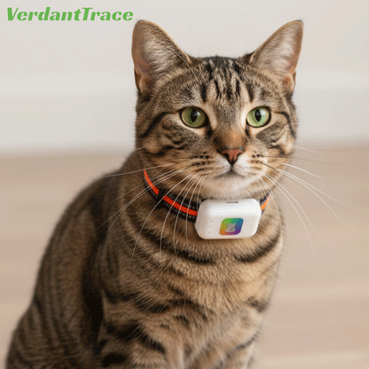 VTG2 4G Cat1 GPS Pet Tracker with LED Light