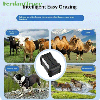 VTH1 Solar-GPS-Tracker für Nutzvieh