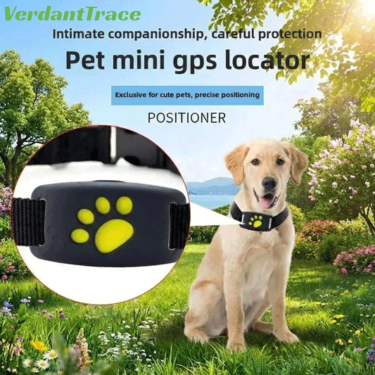 VTZ8 2G Pet GPS Tracker Collar