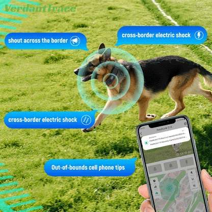 FetchLink C10 GPS Wireless Dog Fence with 2K Camera