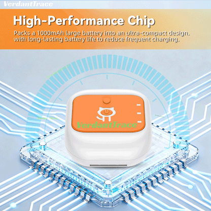 VTG1 Real-Time 4G Pet GPS Tracking for Dogs and Cats