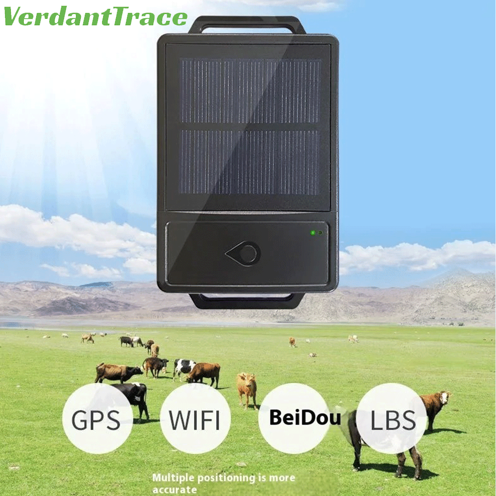 VerdantTrace VTH5 solar livestock tracker showing GPS, Wi-Fi, BeiDou and LBS multi-mode positioning for cattle