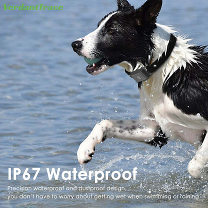 VerdantTrace IP67 Waterproof Mini 4G GPS Animal Tracker Collar Anti-Lost Real Time Tracking Dog Cat Locator Pet Dog Cat Fashion Neck Collar