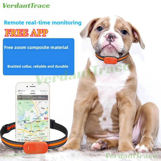 VT51 4G Pet GPS Tracker Collar No Subscription