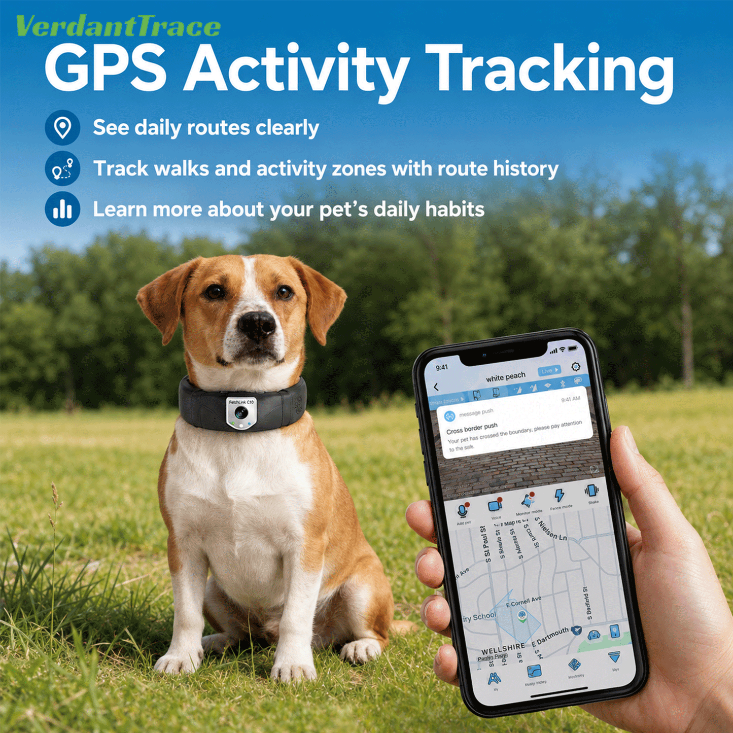 Dog wearing a FetchLink C10 collar beside a mobile app screen