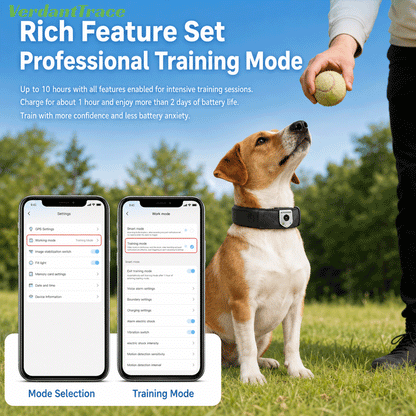 Dog wearing a FetchLink C10 collar beside mode selection screens