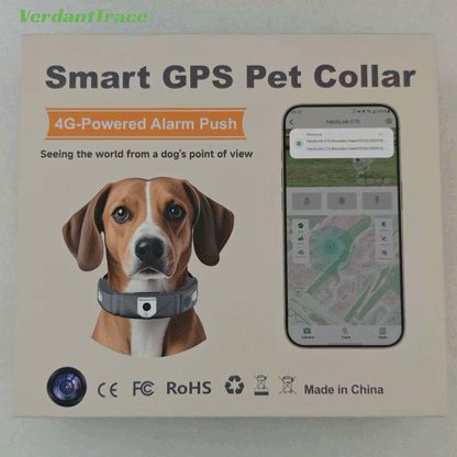 Back of the FetchLink C10 product box showing a dog and mobile app screen