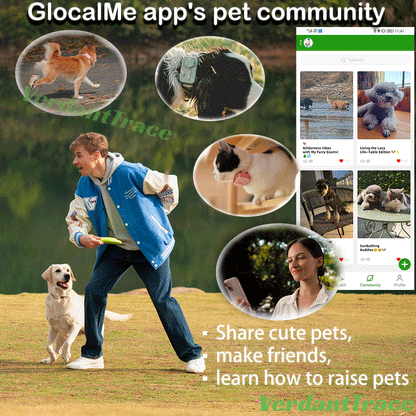 Dog walker beside the GlocalMe pet community app screen