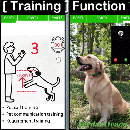 Dog wearing a GlocalMe PetPhone beside a training diagram and mobile call screen